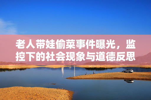 老人带娃偷菜事件曝光，监控下的社会现象与道德反思