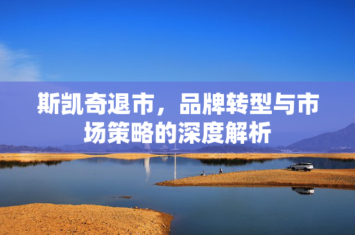斯凯奇退市，品牌转型与市场策略的深度解析