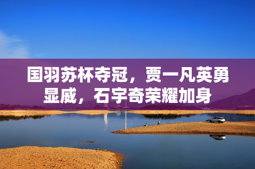 国羽苏杯夺冠，贾一凡英勇显威，石宇奇荣耀加身