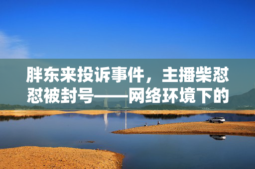胖东来投诉事件，主播柴怼怼被封号——网络环境下的责任与反思