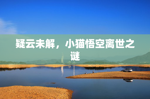 疑云未解，小猫悟空离世之谜