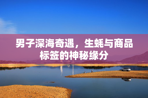 男子深海奇遇，生蚝与商品标签的神秘缘分