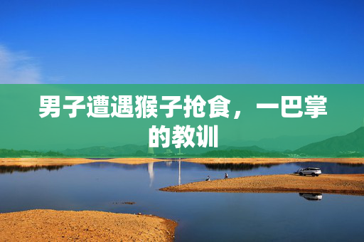 男子遭遇猴子抢食，一巴掌的教训
