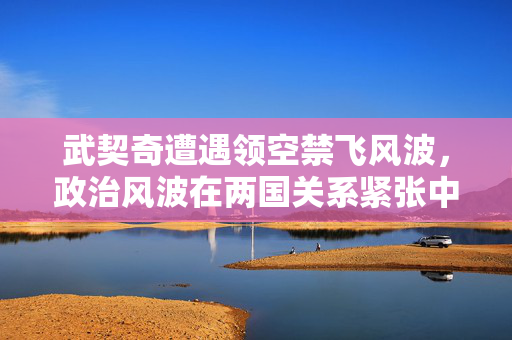 武契奇遭遇领空禁飞风波，政治风波在两国关系紧张中蔓延