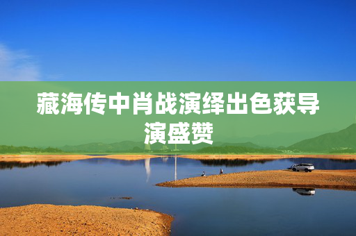 藏海传中肖战演绎出色获导演盛赞