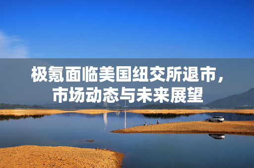 极氪面临美国纽交所退市，市场动态与未来展望