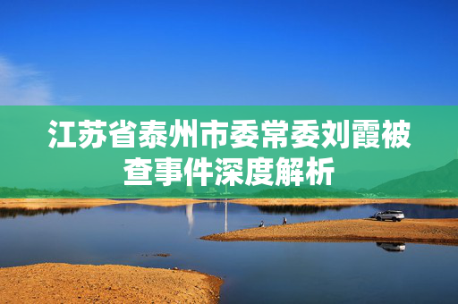 江苏省泰州市委常委刘霞被查事件深度解析