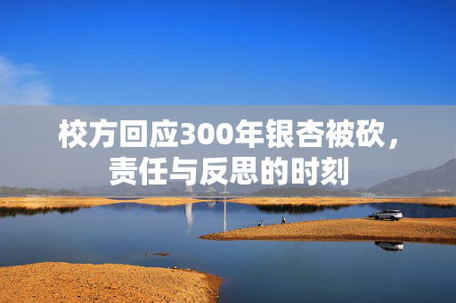 校方回应300年银杏被砍，责任与反思的时刻