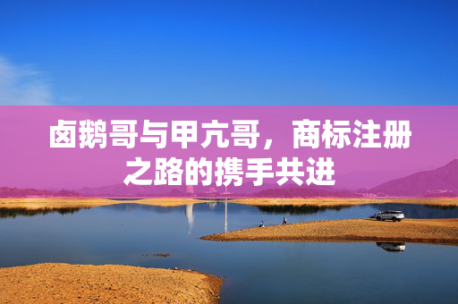 卤鹅哥与甲亢哥，商标注册之路的携手共进