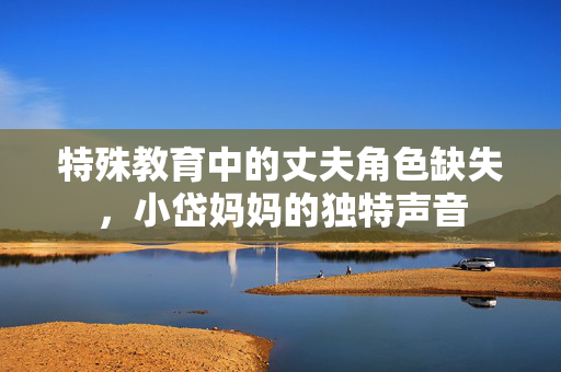 特殊教育中的丈夫角色缺失，小岱妈妈的独特声音
