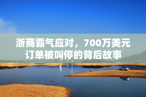 浙商霸气应对，700万美元订单被叫停的背后故事
