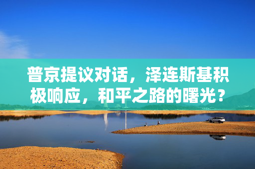 普京提议对话，泽连斯基积极响应，和平之路的曙光？