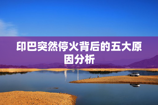 印巴突然停火背后的五大原因分析
