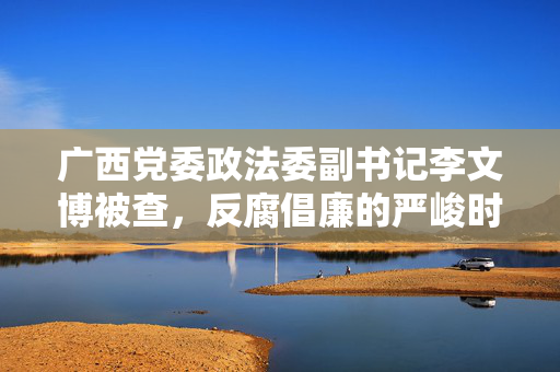 广西党委政法委副书记李文博被查，反腐倡廉的严峻时刻