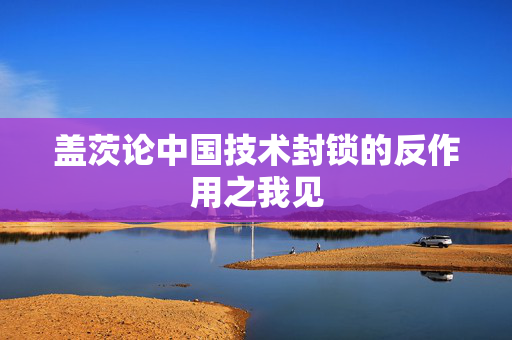 盖茨论中国技术封锁的反作用之我见