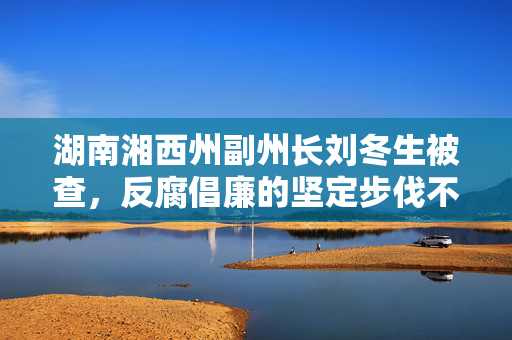 湖南湘西州副州长刘冬生被查，反腐倡廉的坚定步伐不容松懈