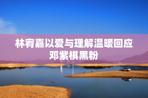 林宥嘉以爱与理解温暖回应邓紫棋黑粉