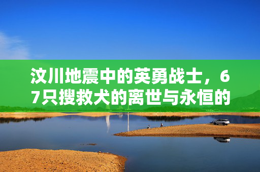 汶川地震中的英勇战士，67只搜救犬的离世与永恒的纪念