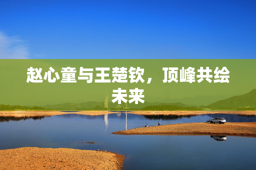 赵心童与王楚钦，顶峰共绘未来
