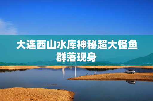 大连西山水库神秘超大怪鱼群落现身