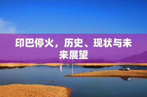 印巴停火，历史、现状与未来展望