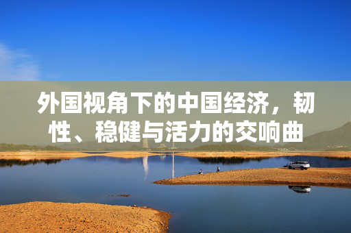 外国视角下的中国经济，韧性、稳健与活力的交响曲