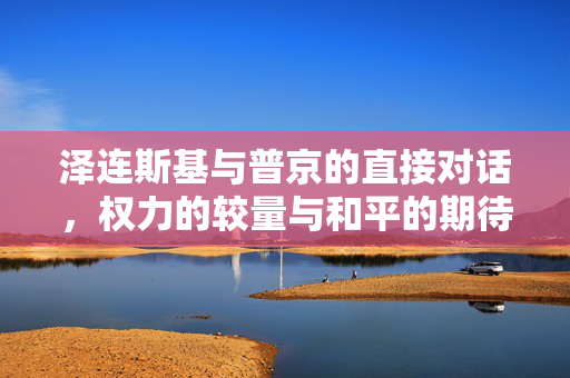 泽连斯基与普京的直接对话，权力的较量与和平的期待