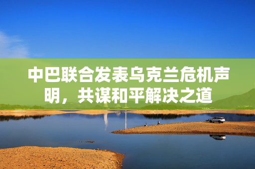 中巴联合发表乌克兰危机声明，共谋和平解决之道