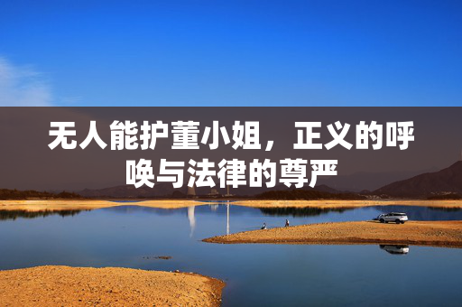 无人能护董小姐，正义的呼唤与法律的尊严