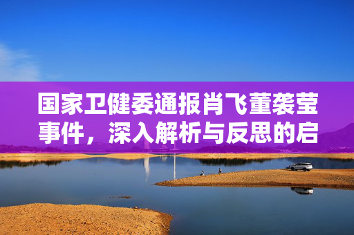 国家卫健委通报肖飞董袭莹事件，深入解析与反思的启示