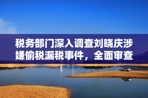税务部门深入调查刘晓庆涉嫌偷税漏税事件，全面审查与追责的背后