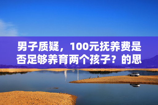 男子质疑，100元抚养费是否足够养育两个孩子？的思考