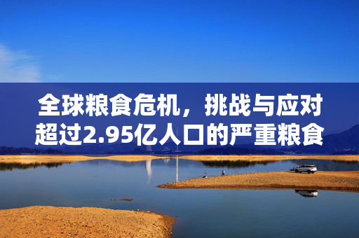 全球粮食危机，挑战与应对超过2.95亿人口的严重粮食不安全
