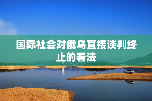 国际社会对俄乌直接谈判终止的看法
