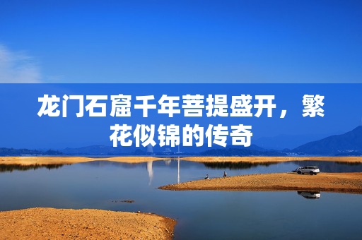 龙门石窟千年菩提盛开，繁花似锦的传奇