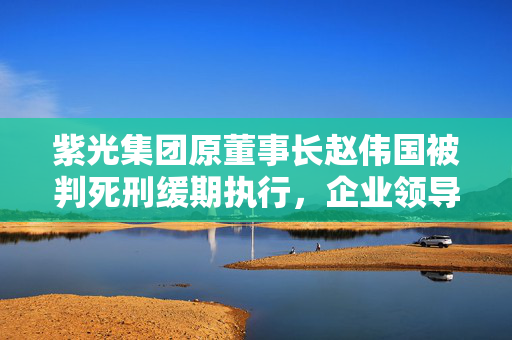 紫光集团原董事长赵伟国被判死刑缓期执行，企业领导人的法律责任与警示
