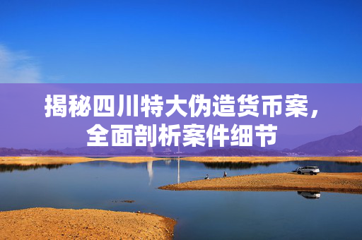 揭秘四川特大伪造货币案，全面剖析案件细节