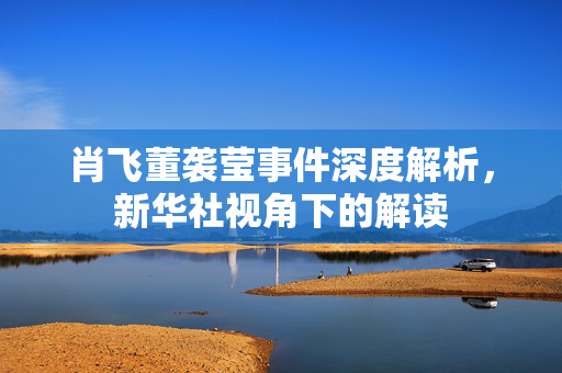 肖飞董袭莹事件深度解析，新华社视角下的解读