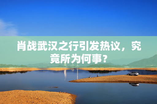肖战武汉之行引发热议，究竟所为何事？