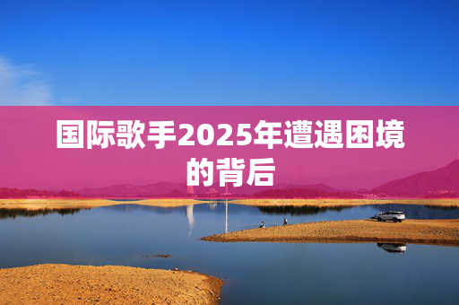 国际歌手2025年遭遇困境的背后