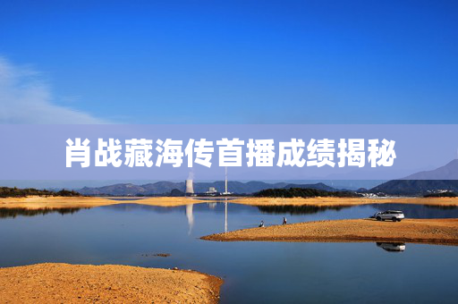 肖战藏海传首播成绩揭秘