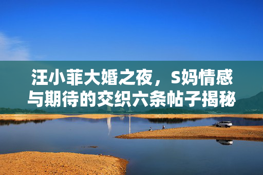 汪小菲大婚之夜，S妈情感与期待的交织六条帖子揭秘