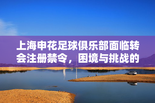 上海申花足球俱乐部面临转会注册禁令，困境与挑战的考验