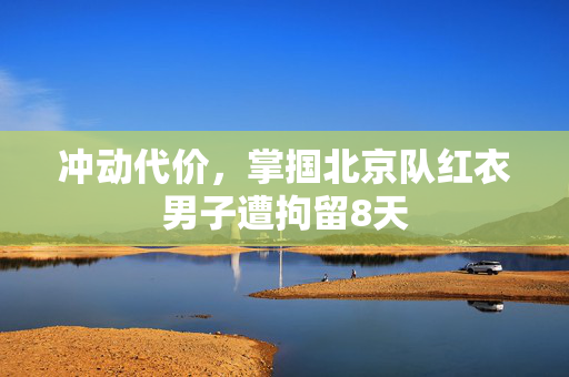 冲动代价，掌掴北京队红衣男子遭拘留8天