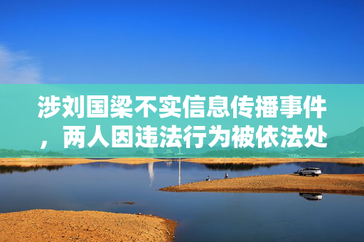 涉刘国梁不实信息传播事件，两人因违法行为被依法处罚