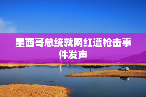 墨西哥总统就网红遭枪击事件发声