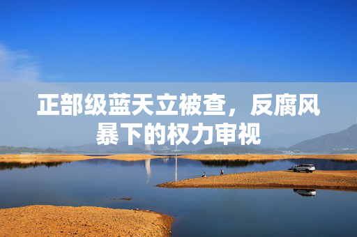 正部级蓝天立被查，反腐风暴下的权力审视