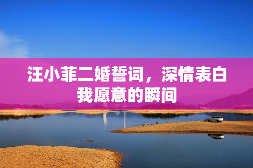 汪小菲二婚誓词，深情表白我愿意的瞬间