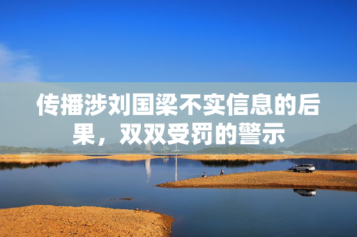传播涉刘国梁不实信息的后果，双双受罚的警示