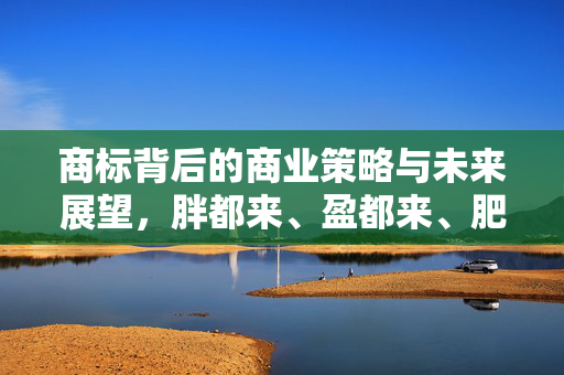 商标背后的商业策略与未来展望，胖都来、盈都来、肥都来的战略布局